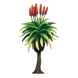 Ambleside Durban Aloe Icon