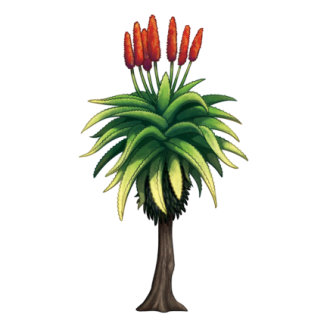 Ambleside Durban Aloe Icon